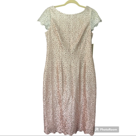 Eliza J Dresses & Skirts - Eliza J Shimmering Lace Dress - Size 8 - Blush Gradient - New